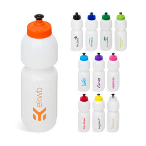 Alpine 800ml Water Bottle