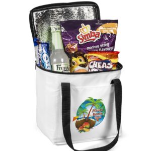 Arctic Cooler-12-Can